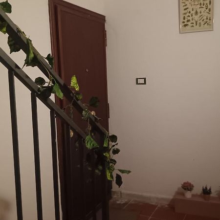 Casa Selinunte Daire Palermo Dış mekan fotoğraf